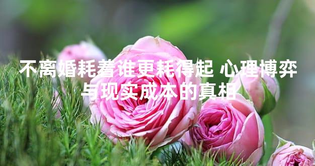 不离婚耗着谁更耗得起 心理博弈与现实成本的真相